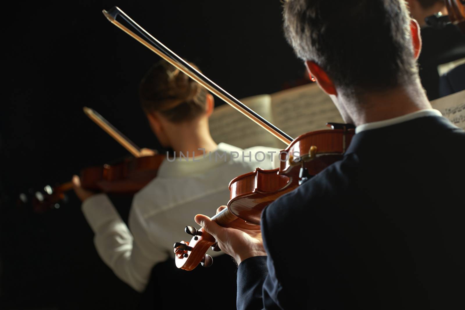 Violinists playing at the concert, rear view