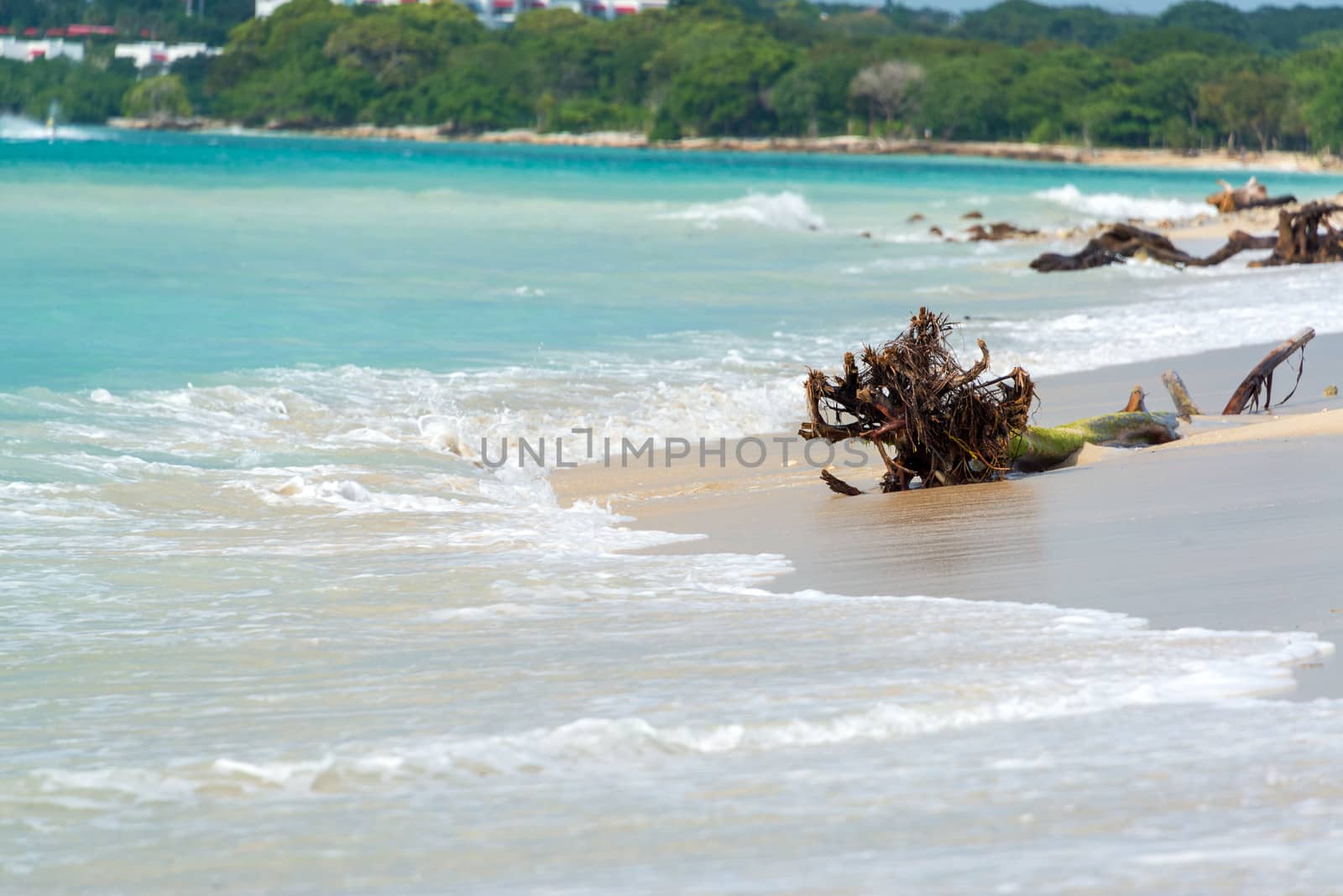 Deserted untouched tropical beach on the Caribbean Sea at Playa Blanca near Cartagena, Colombia