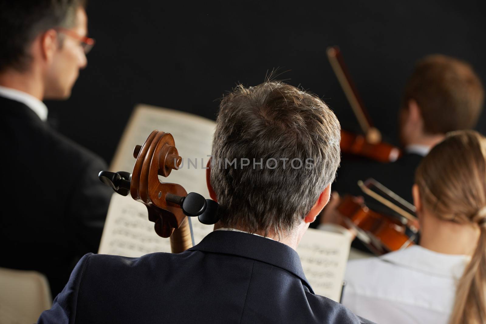 Symphony, cellist on foreground playing at the concert