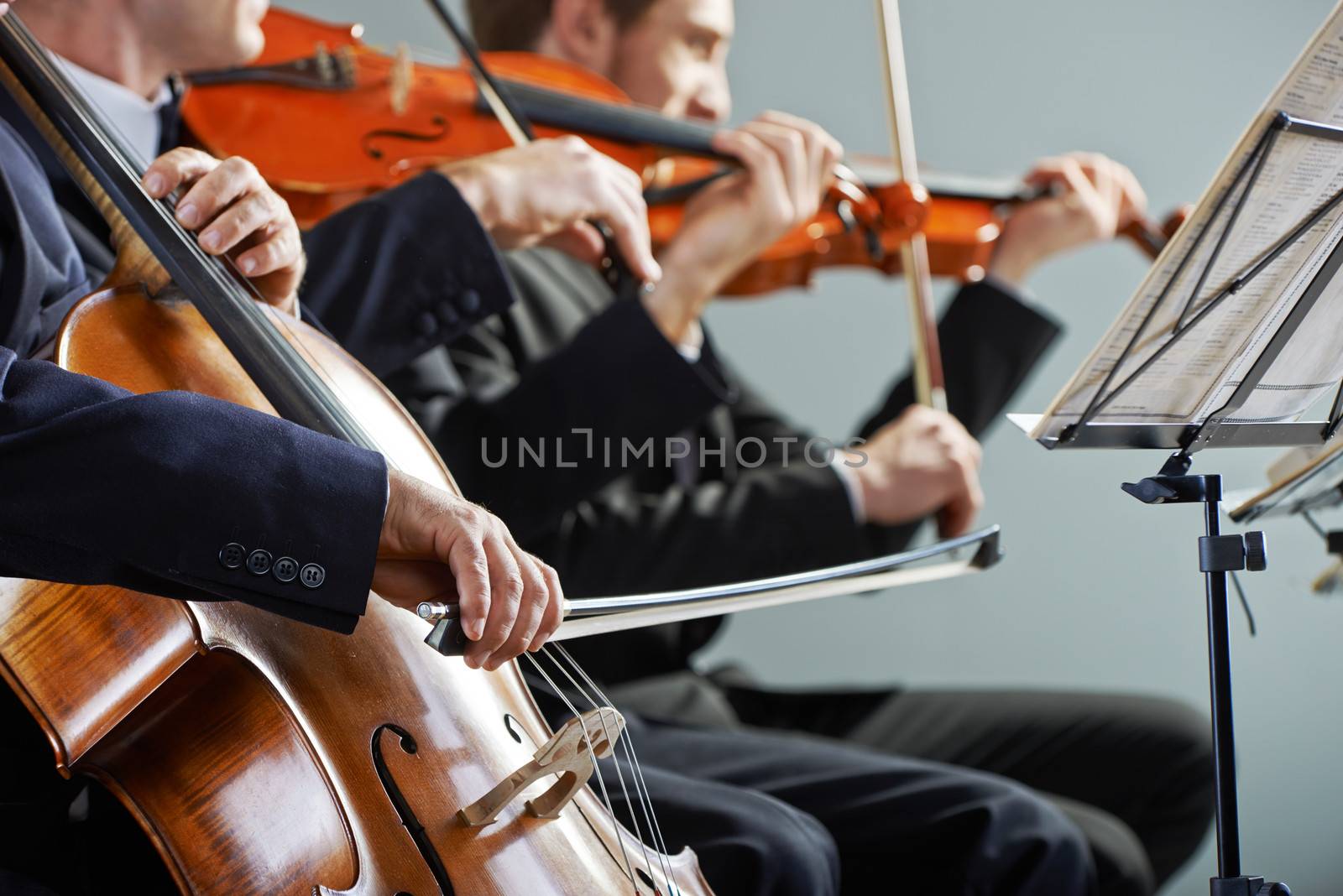 Cellist and violinist playing at the concert