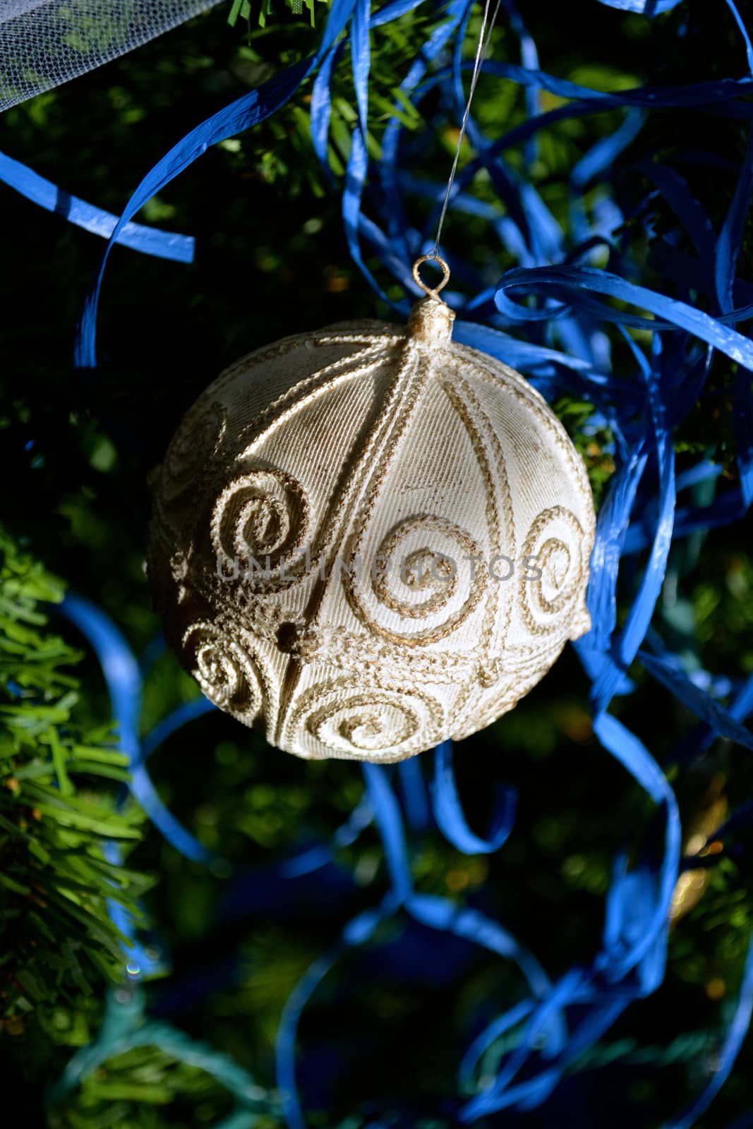 Victorian Ornament by RefocusPhoto