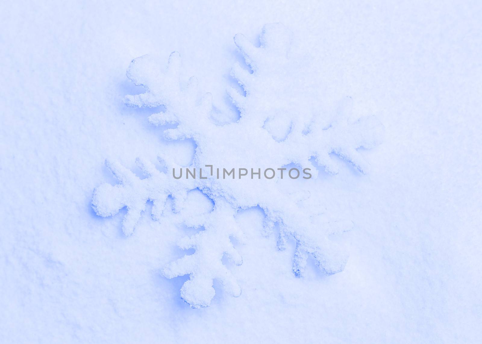 Snowflake on the snow. by anelina