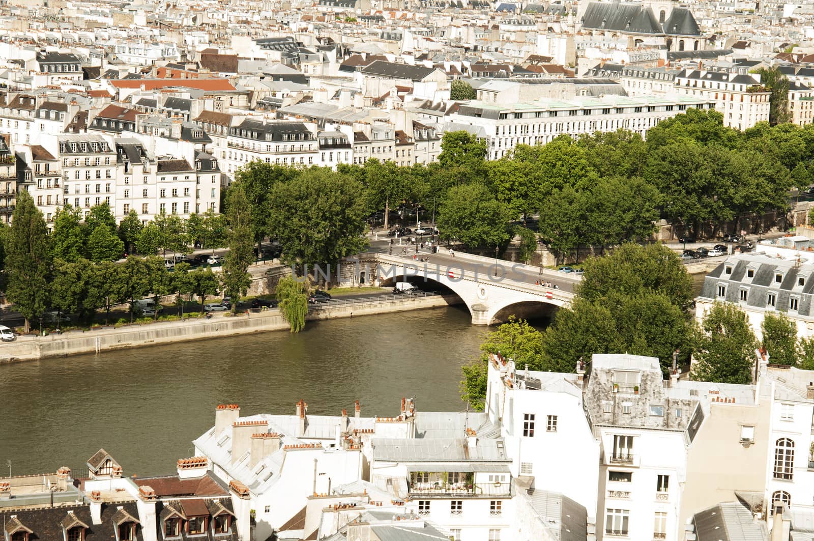 View from Notre- Drame Cathedral, Paris by rodrigobellizzi