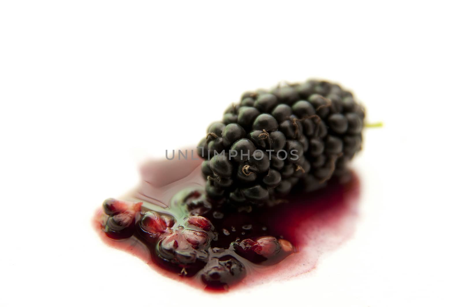 The blackberry is an edible fruit produced by many species