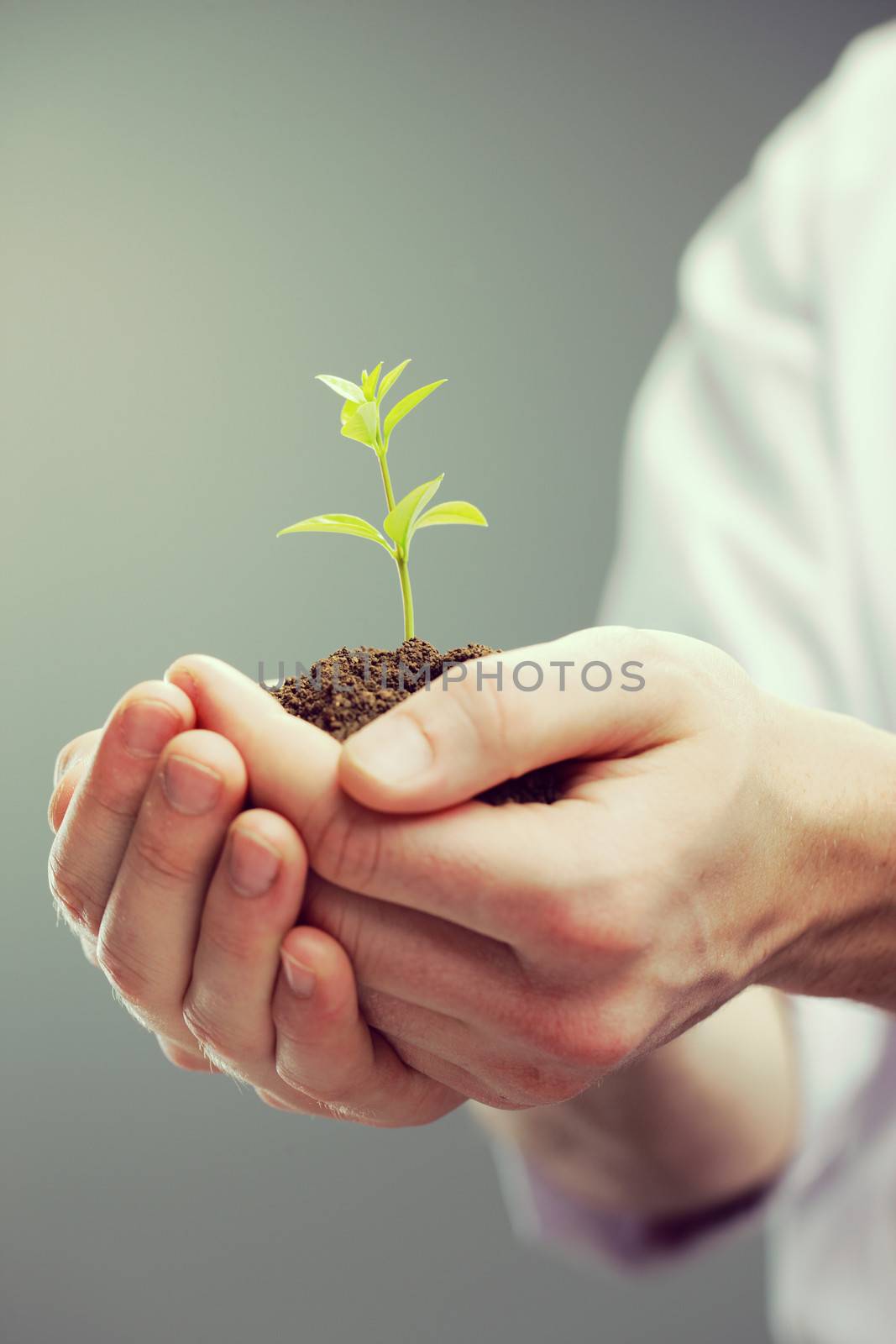Cropped shot of man's hands holding new growth