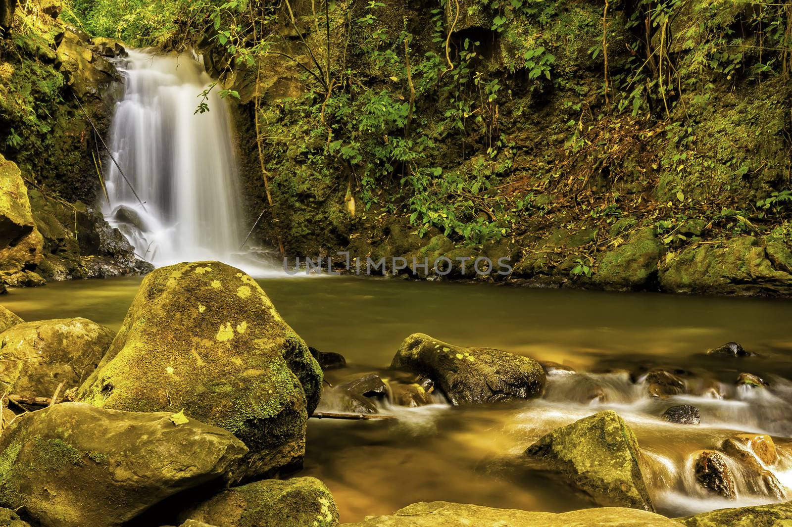 Dappled light on a waterfall and stream in a forest clearing in Costa Rica.