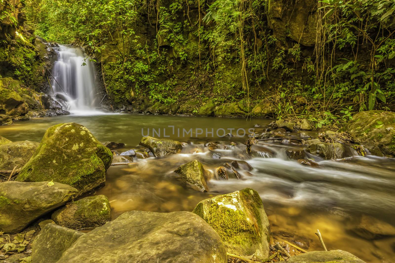 Dappled light on a waterfall and stream in a forest clearing in Costa Rica.