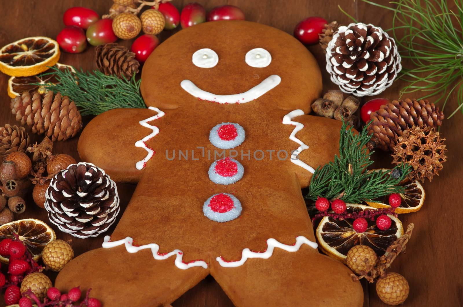 Gingerbread Man by BVDC