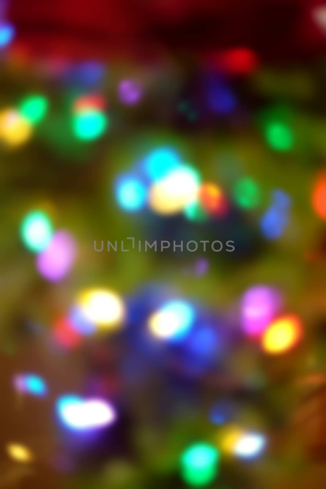 Christmas holiday lights on green tree as defocused background