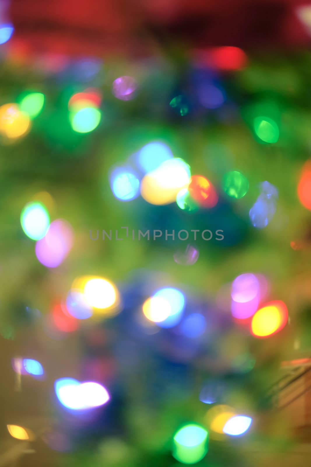 Christmas holiday lights on green tree as defocused background