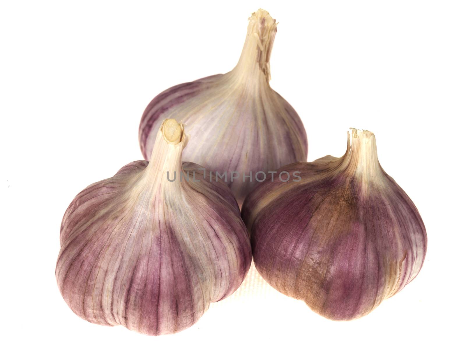 Purple Garlic Bulbs Isolated White Background