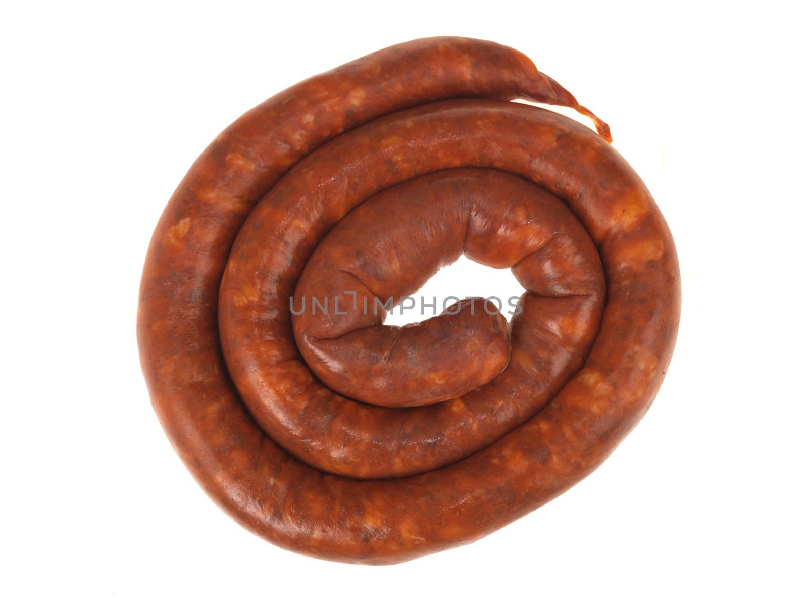 Chistorra Chorizo Sausage Isolated White Background