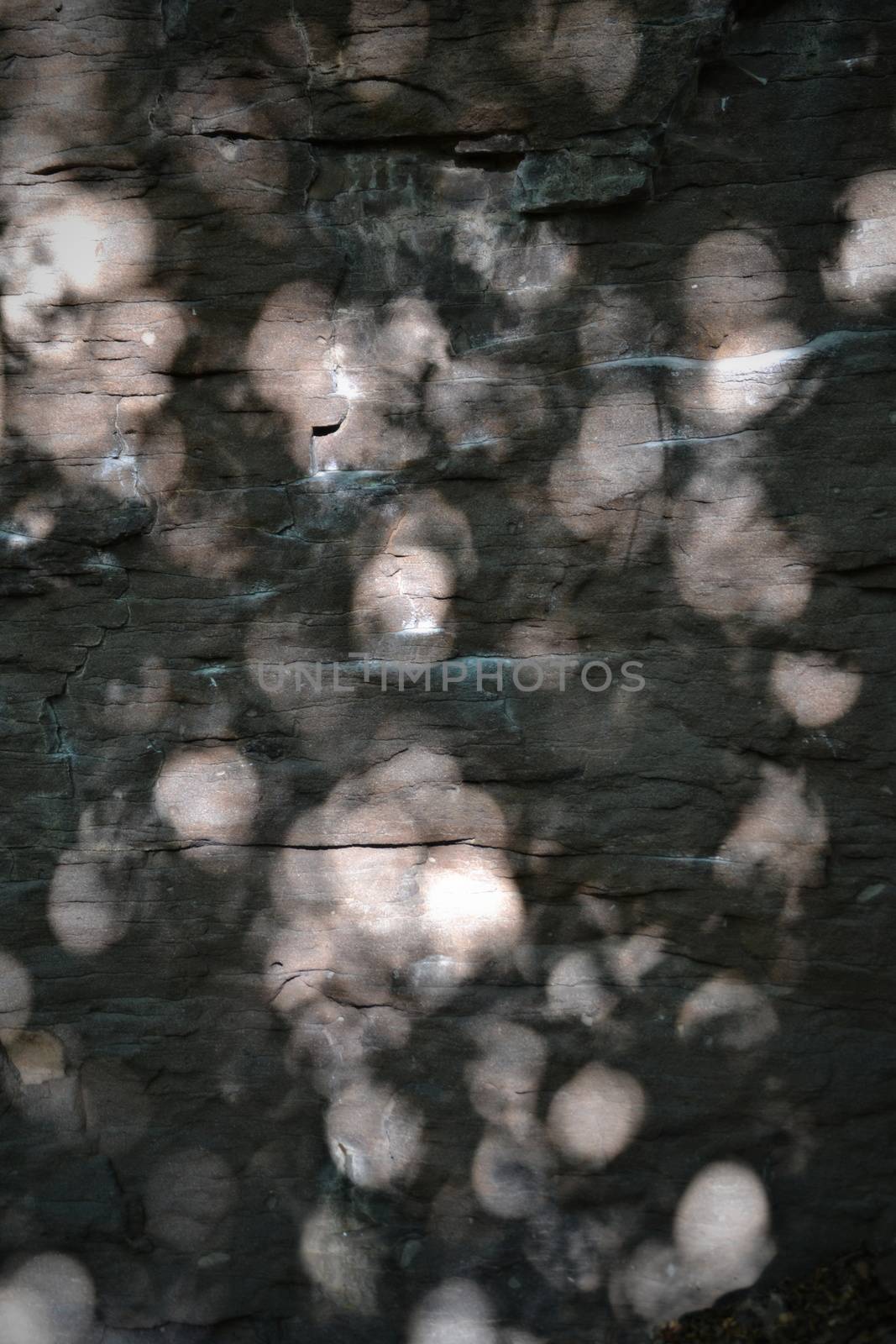 sandstone rocks with reflections of sunlight circular form