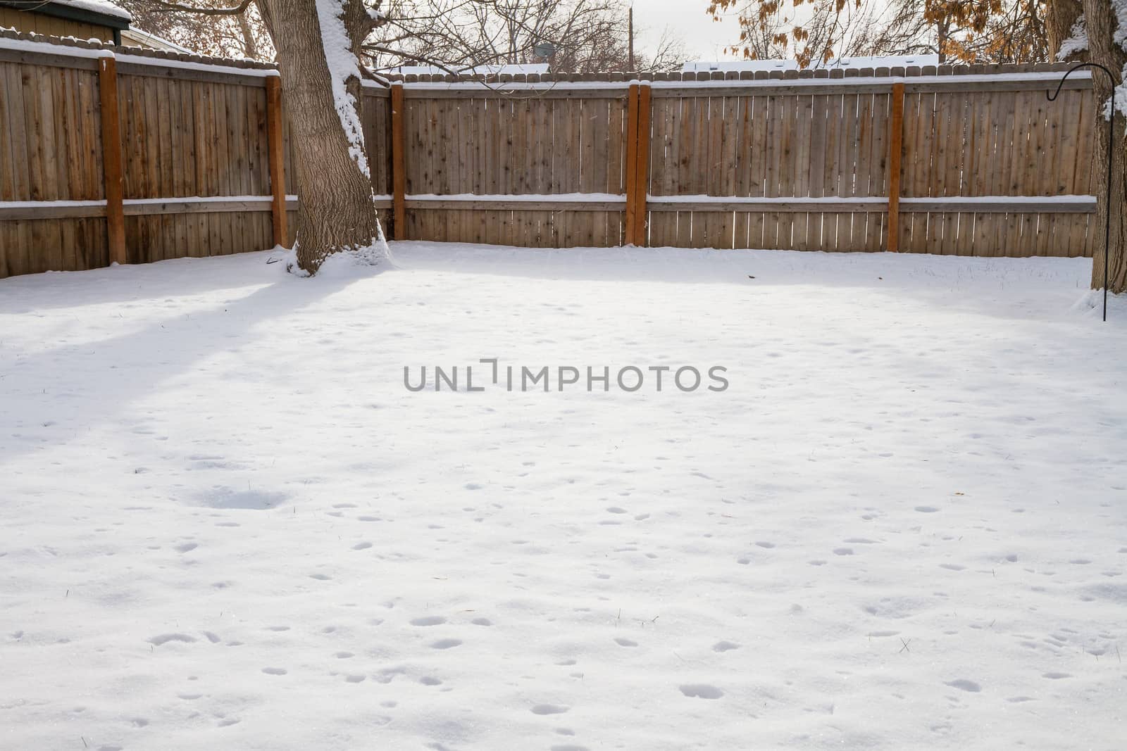 View of a backayard covered in snow. Includes a lot of blank space in the snow for copyspace