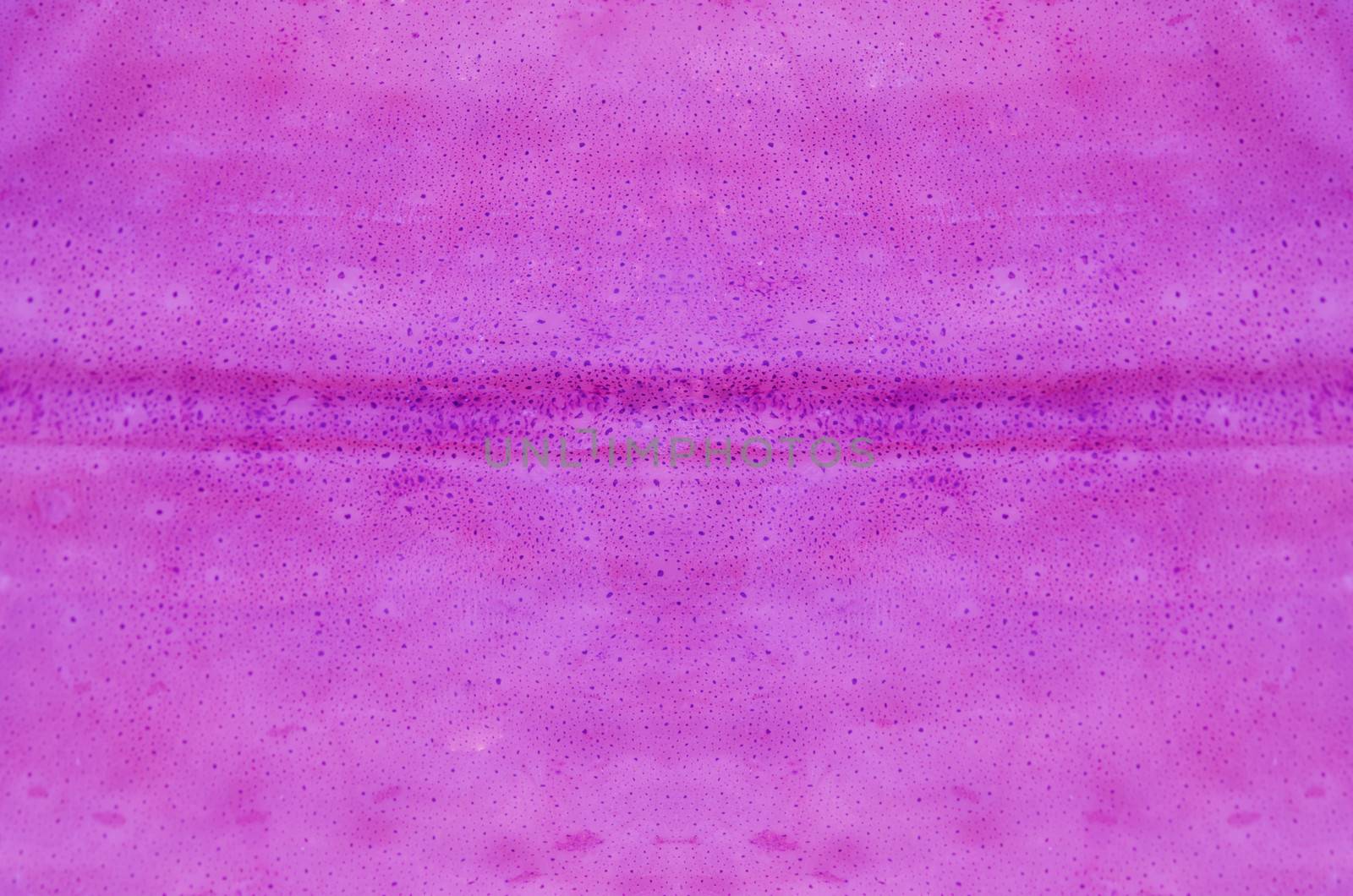 purple cuttlefish skin texture ,  ( squid skin for background )