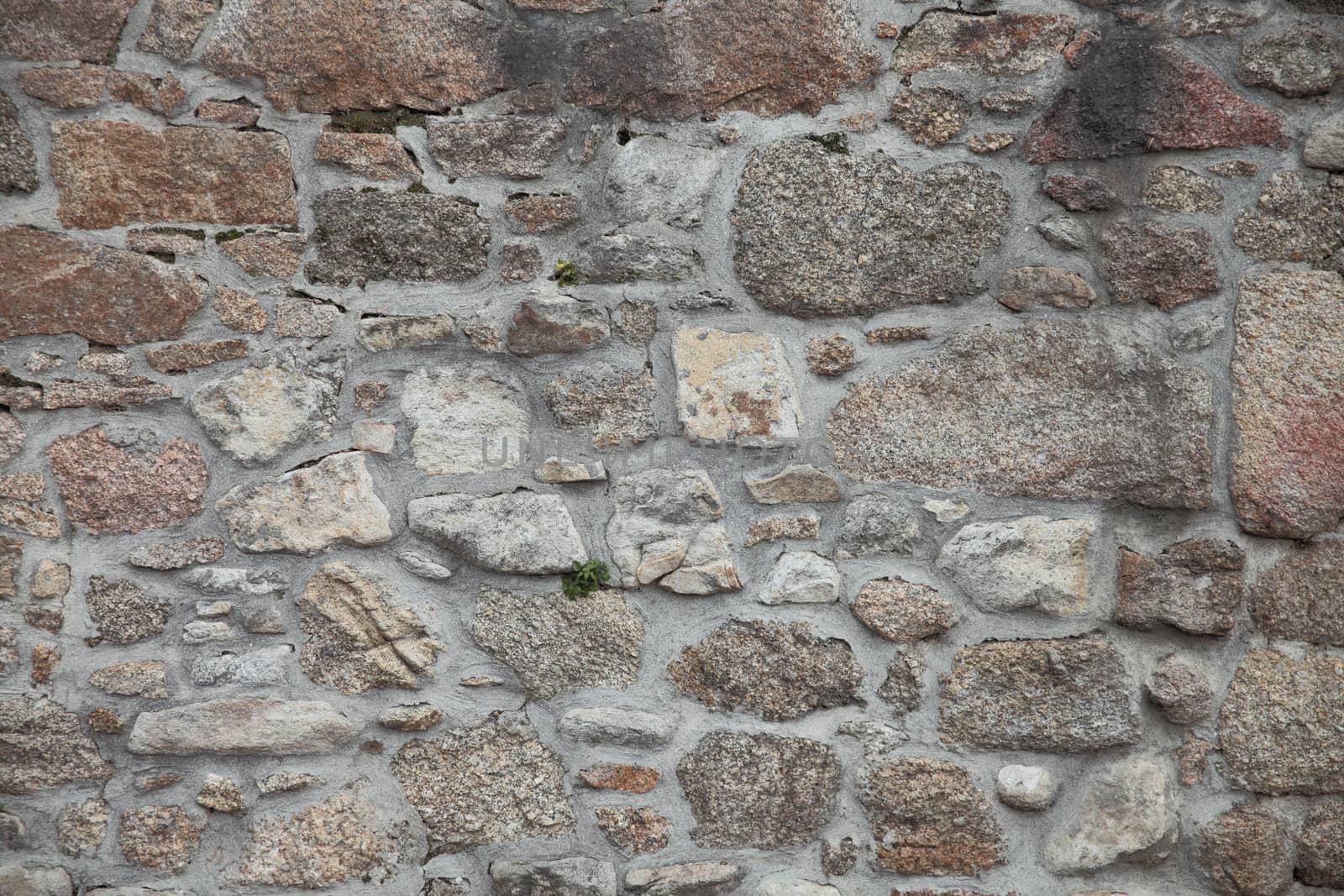 detail of a texture stone wall