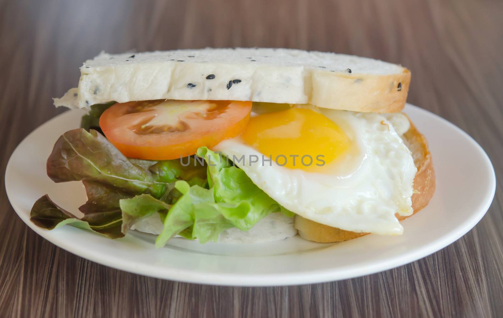 close up  sandwich with tomatoes , lettuce and fried egg on white plate