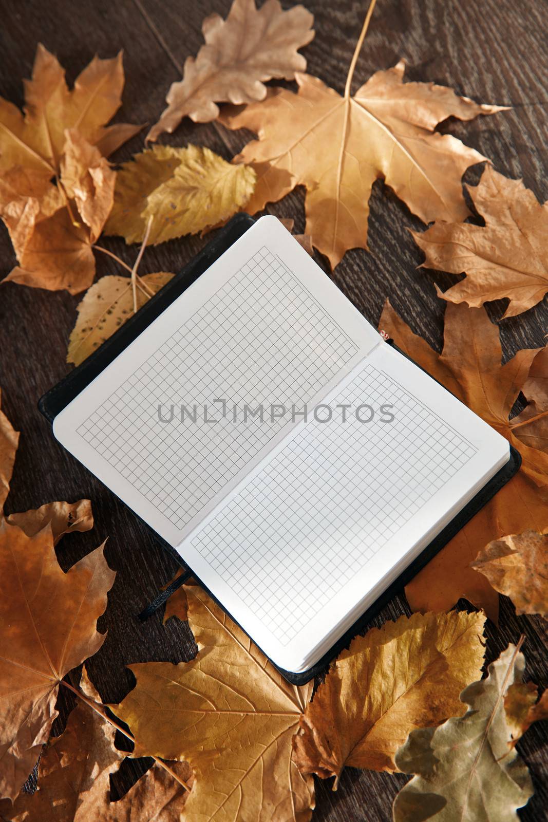 Close-up view on a blank notepad with autumn leaves