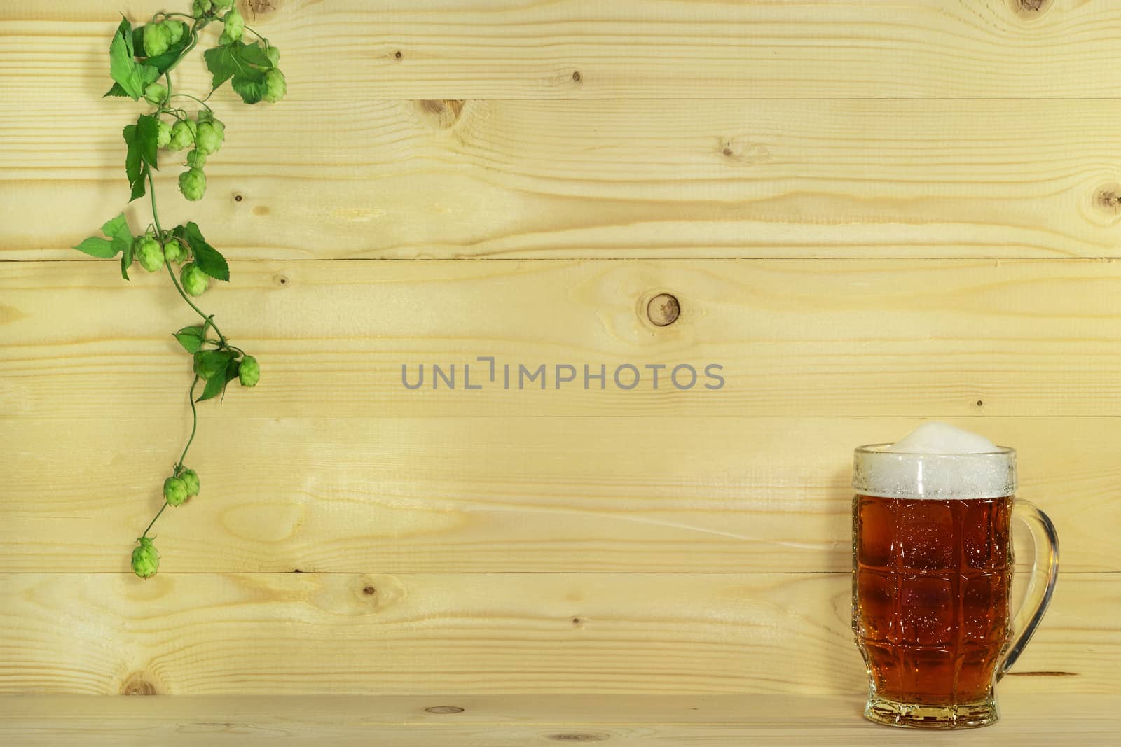 Branch of hops and glass of beer on background of wooden boards