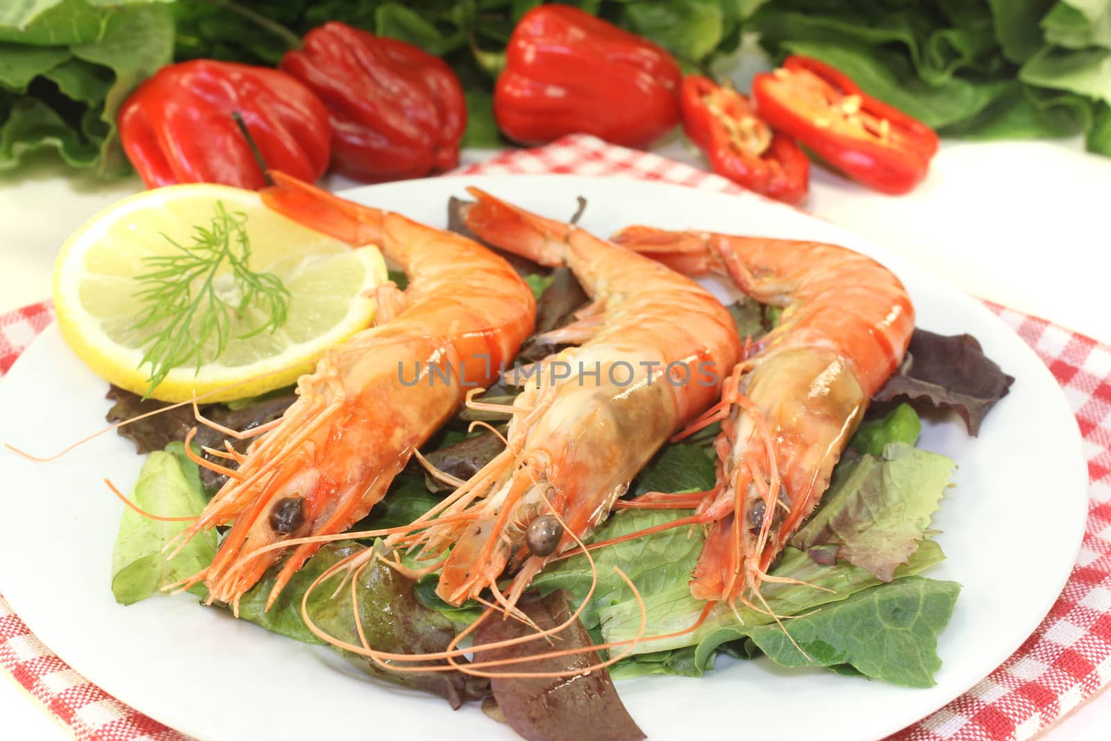 fresh orange prawns on salad with lemon and dill