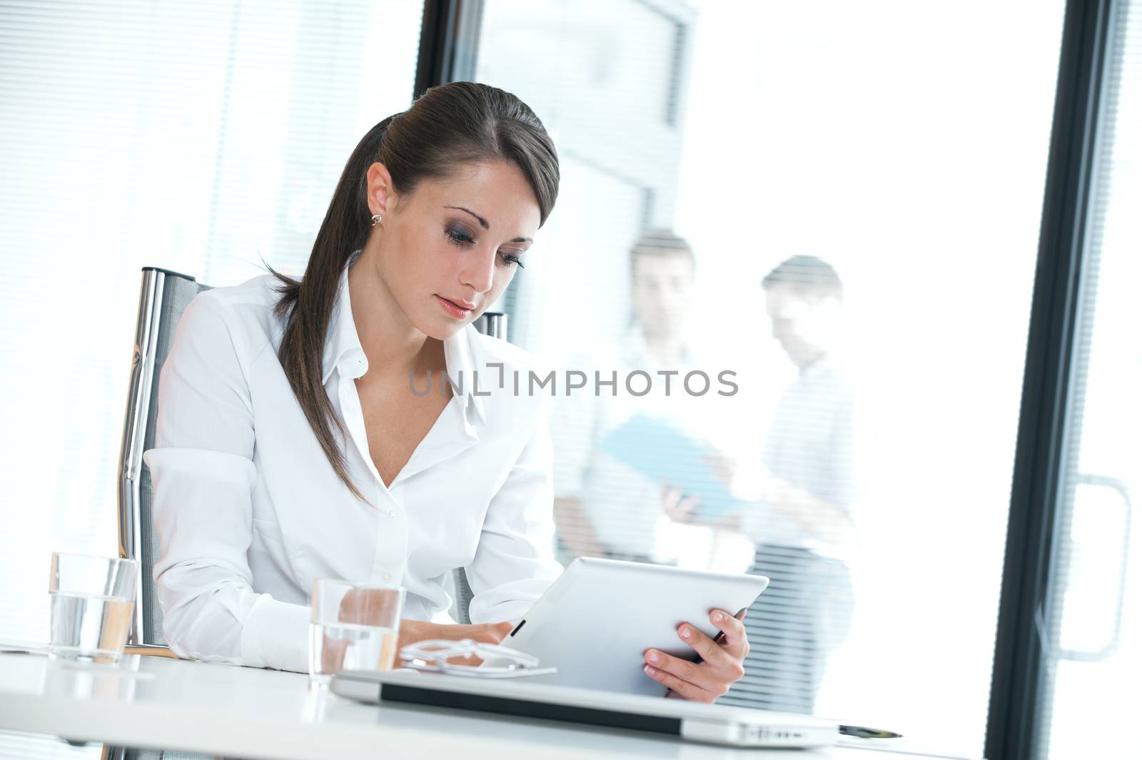 Portrait of a young executive woman in her office