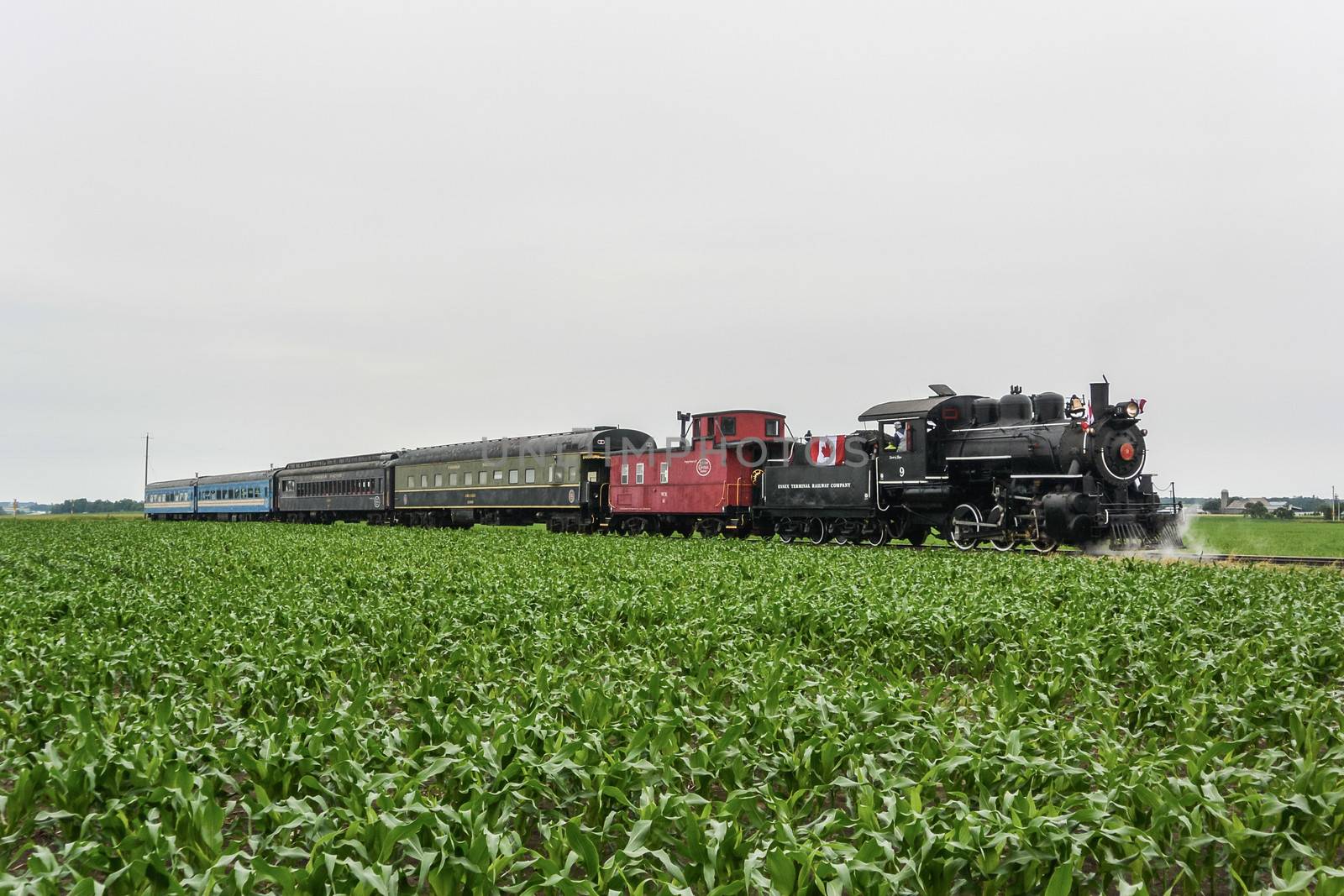Train passing through a field  by IVYPHOTOS
