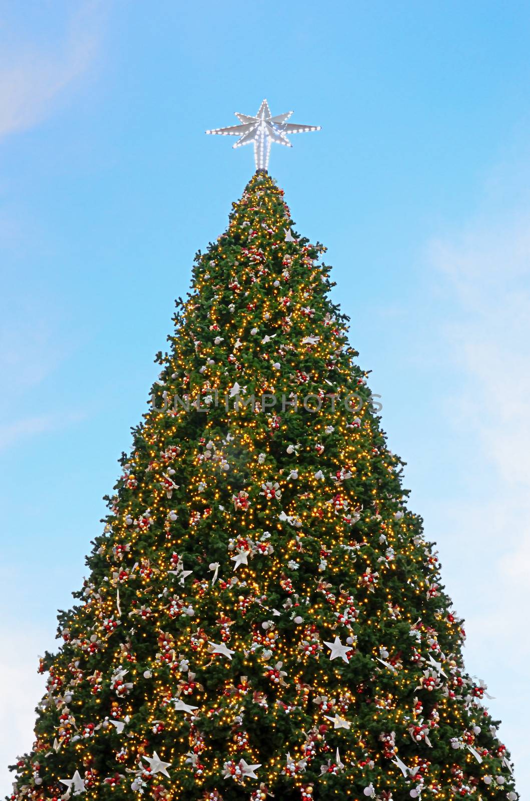 Christmas tree with lighting and ornament