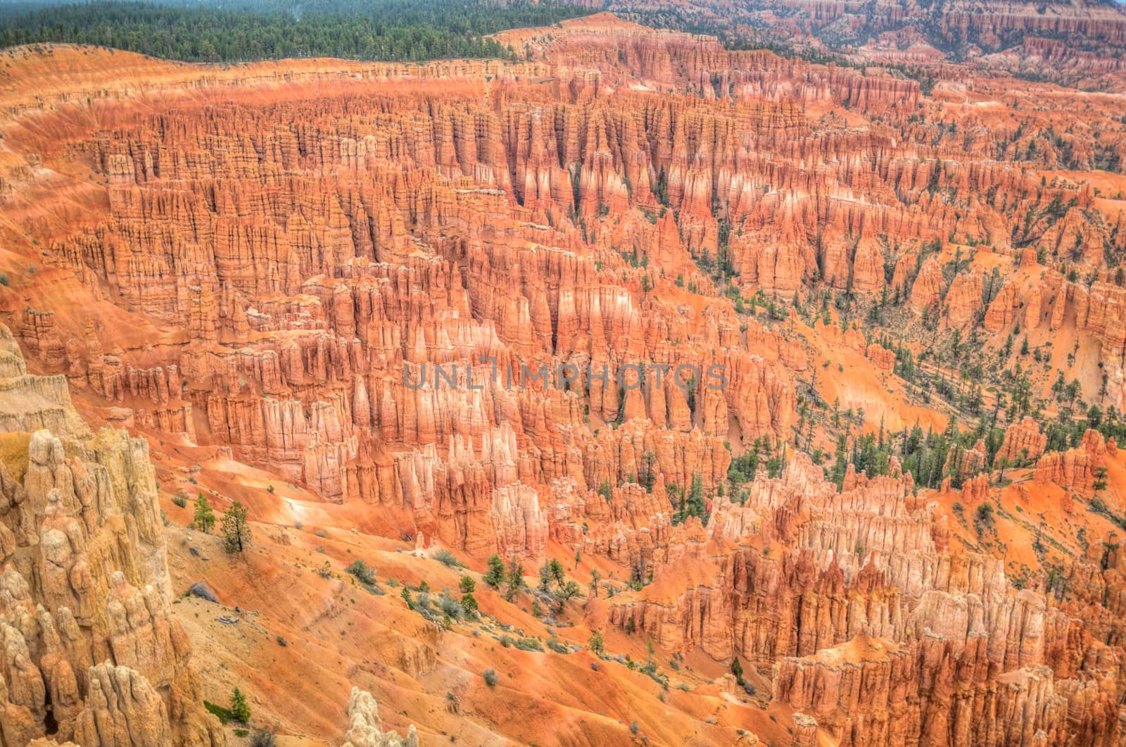 Canyon Bryce amphitheater by weltreisendertj