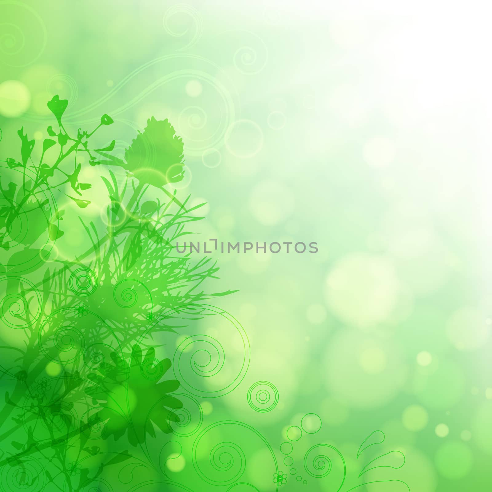 Floral background. by Itana