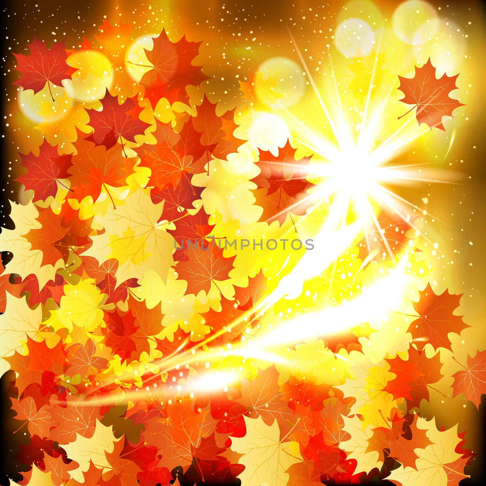 Autumn leaves design background.