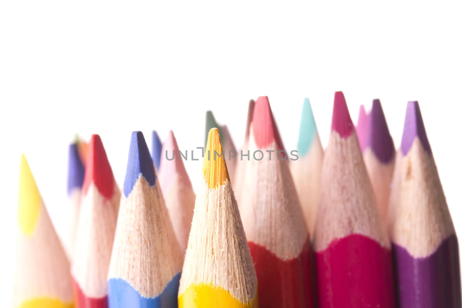 colored pencils, isolated on a white background 