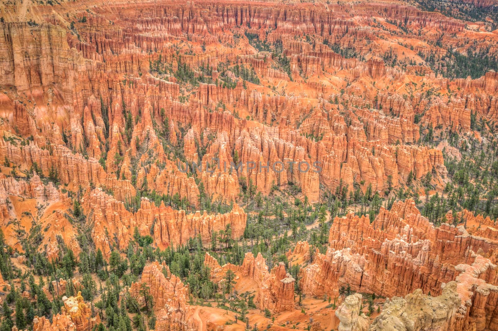 Bryce Canyon stalactites by weltreisendertj