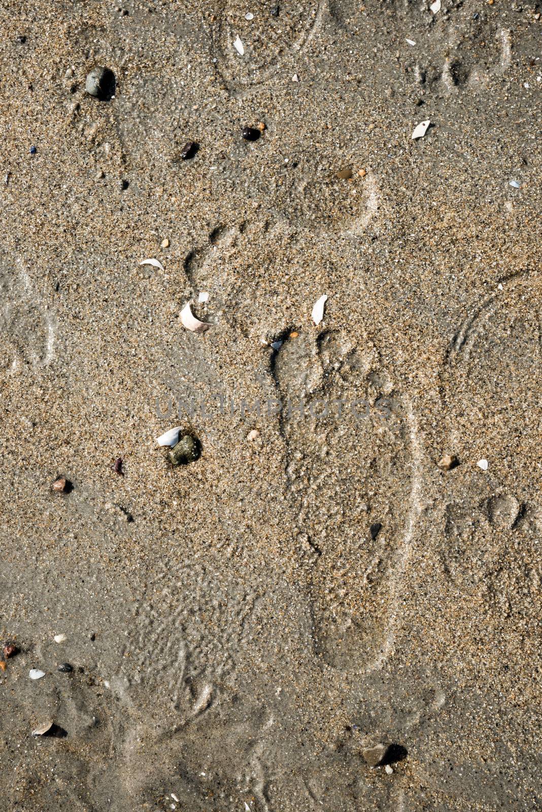 Foot prints on a beach  by IVYPHOTOS