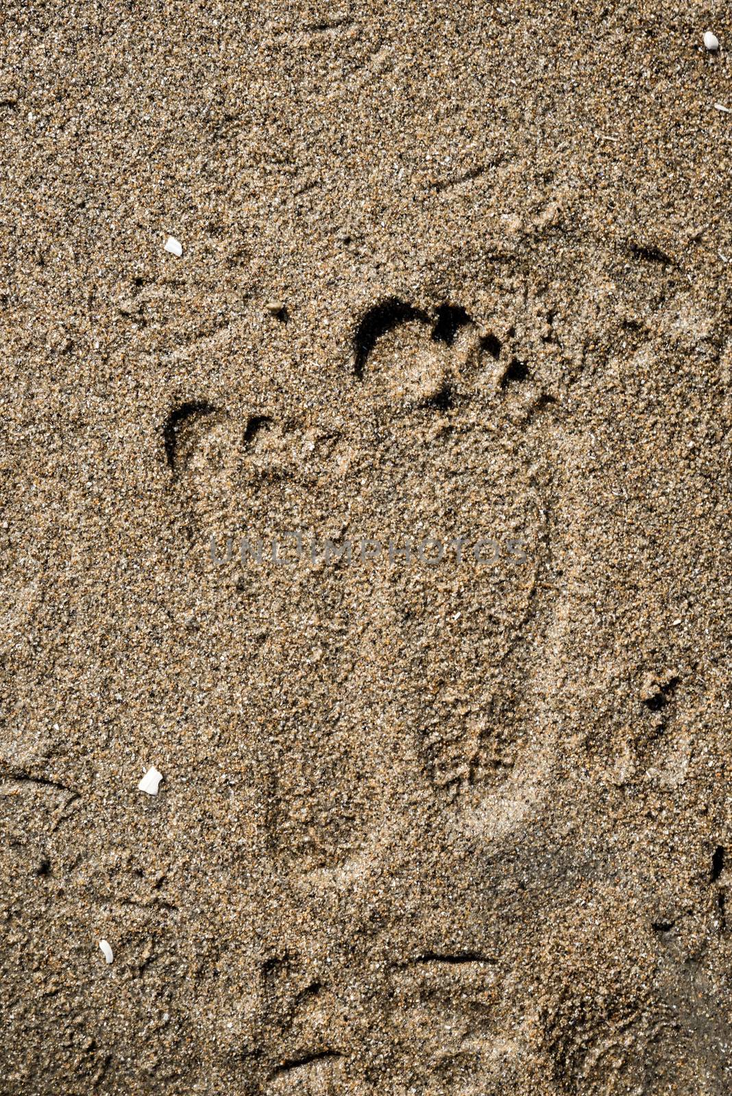 Foot prints on a beach  by IVYPHOTOS