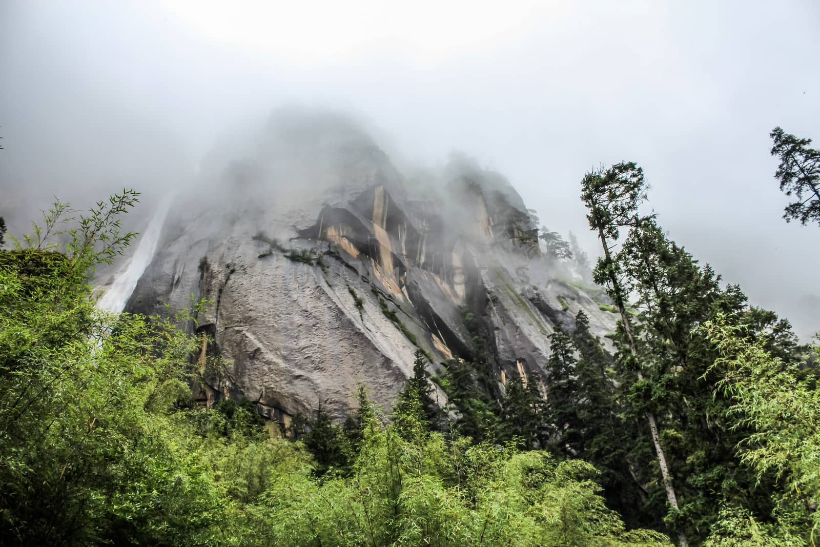 Mountain during a foggy day  by IVYPHOTOS