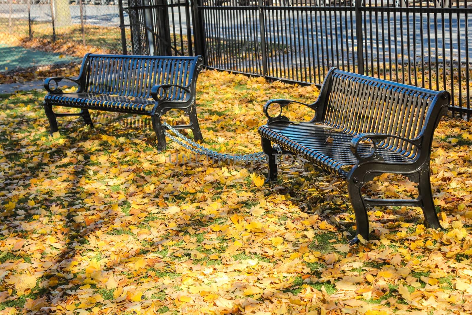 Metal bench in park by IVYPHOTOS