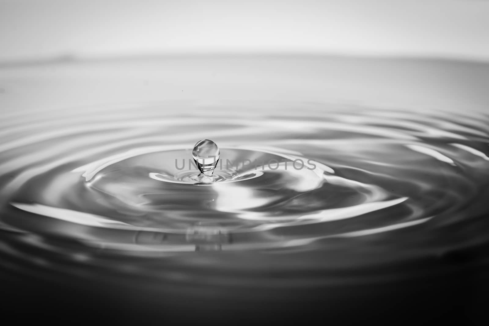 Impact instant of a drop of water by IVYPHOTOS