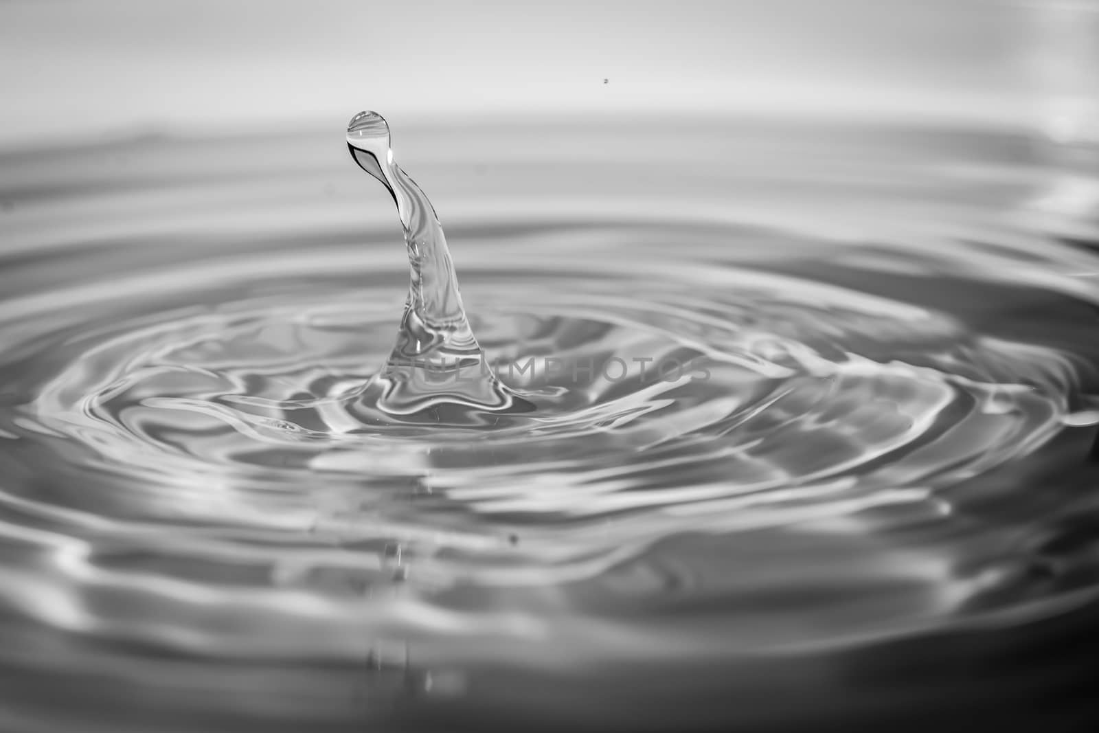 Instant of a drop of water hitting water surface and causing a small splash