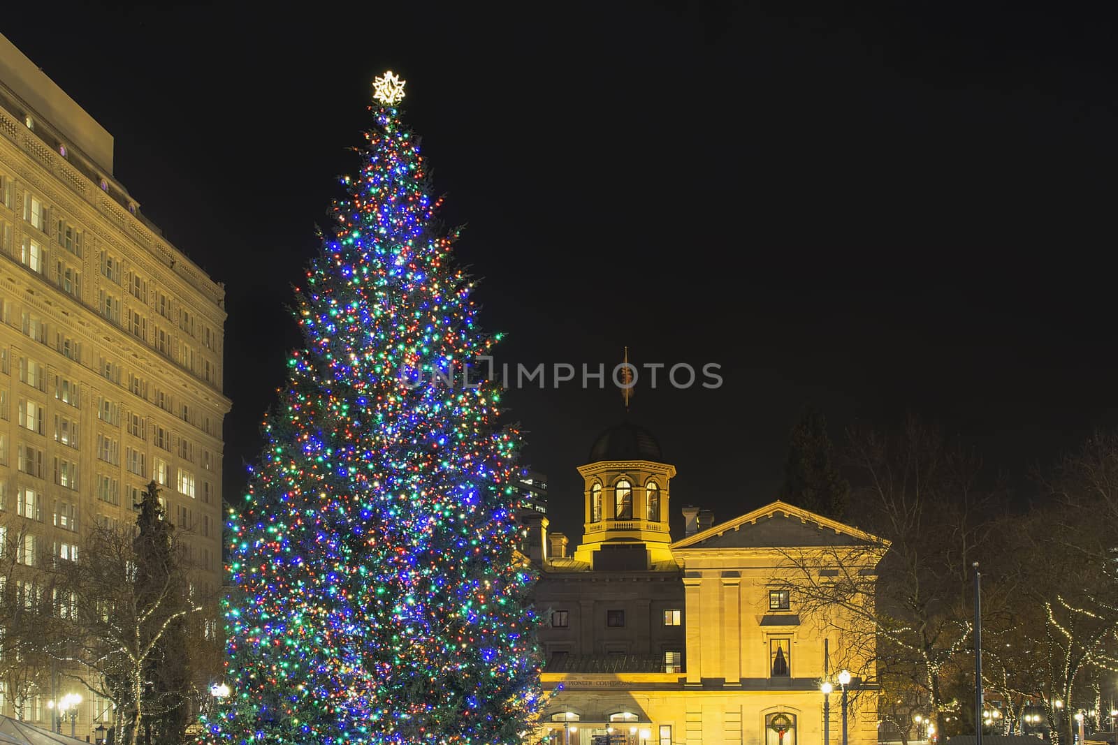 Christmas Holiday Tree at Pioneer Courthouse Square in Portland Oregon Downtown Decorated with Colorful Lights at Night