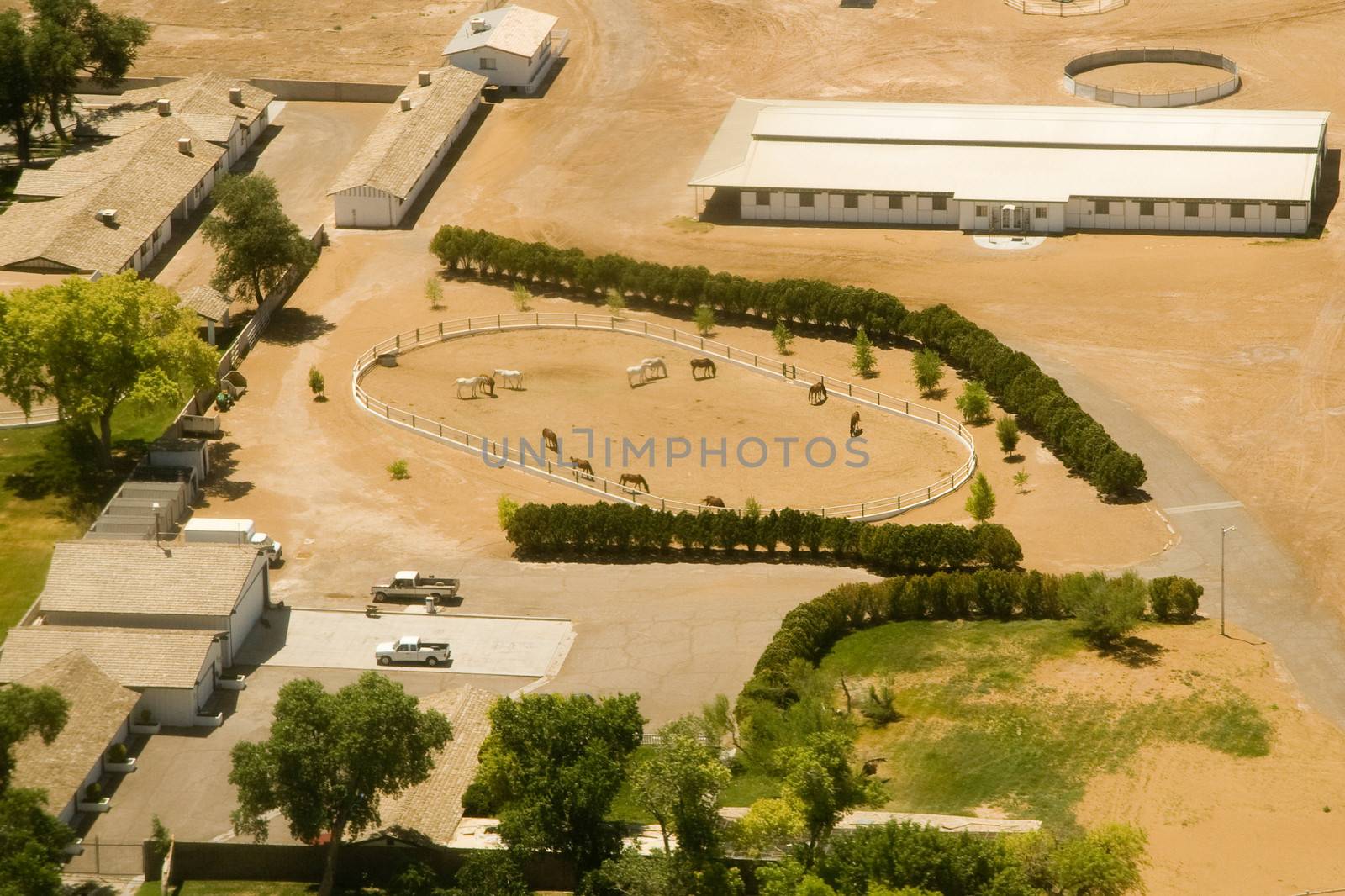 Aerial view of horses at farm by CelsoDiniz