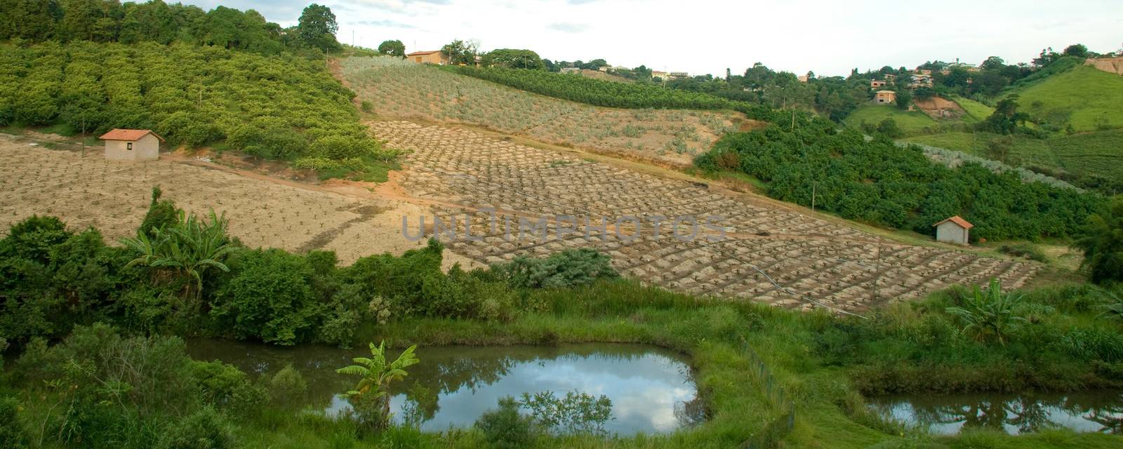 Rural scene found in the countryside of Sao Paulo, Brazil