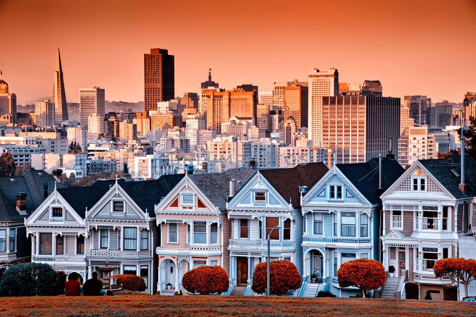 Row of colourful Victorian homes on Steiner Street with the San Francisco skyline behind.