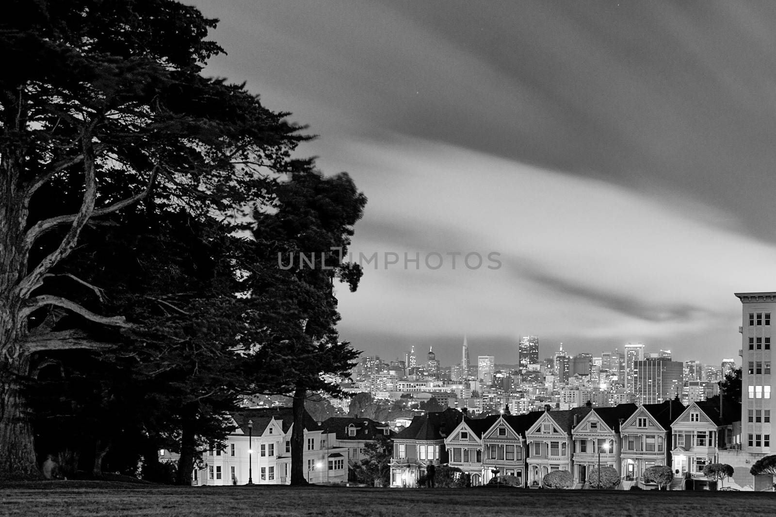 Black and white scenic view of San Francisco skyline looking from Alamo Square Park over Victorian houses on Steiner street, California, U.S.A.