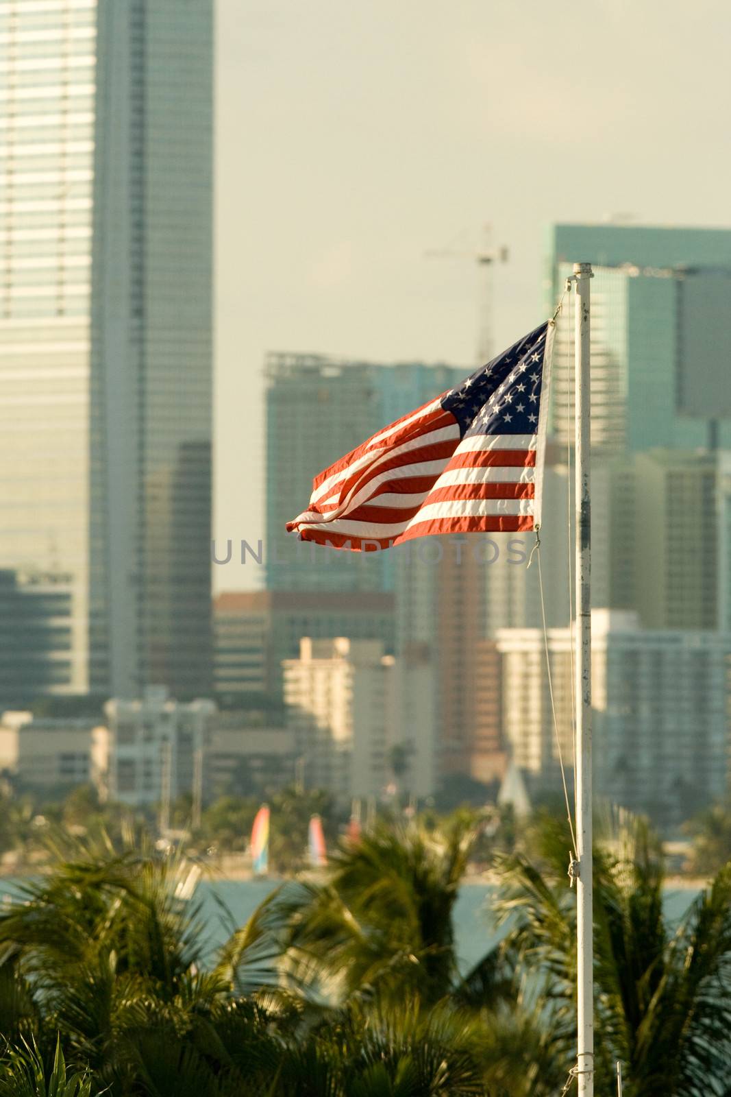 American flag fluttering with city in the background, Miami, Miami-Dade County, Florida, USA