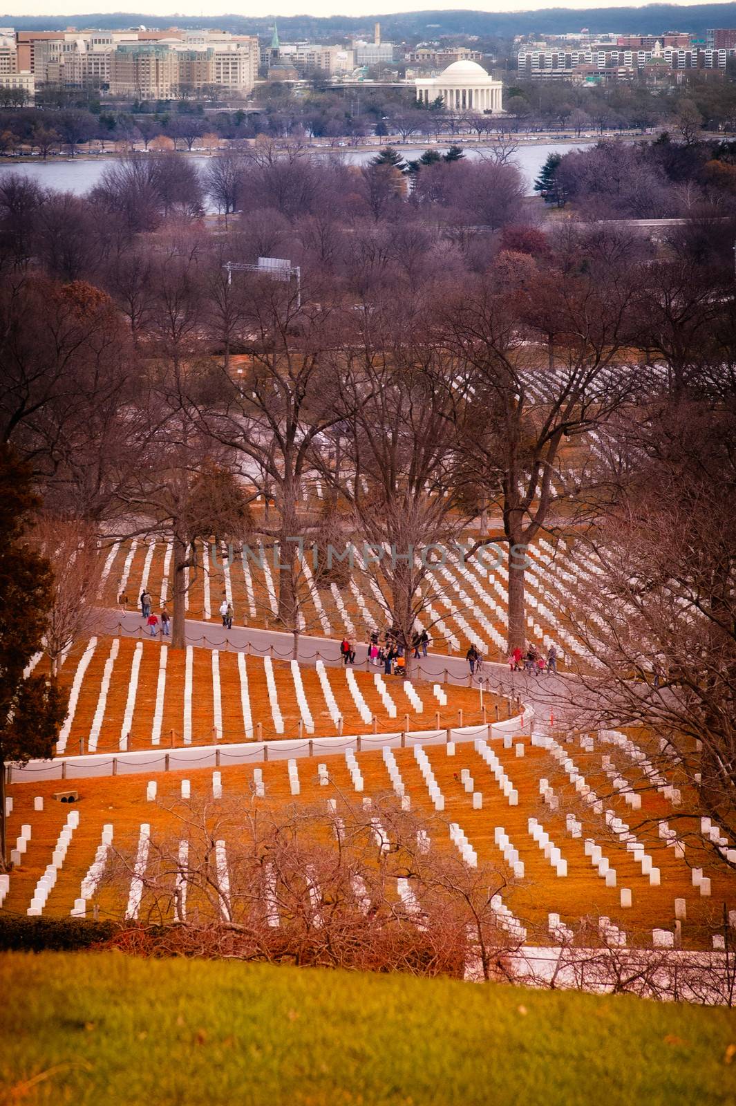 Graves at the Arlington National Cemetery