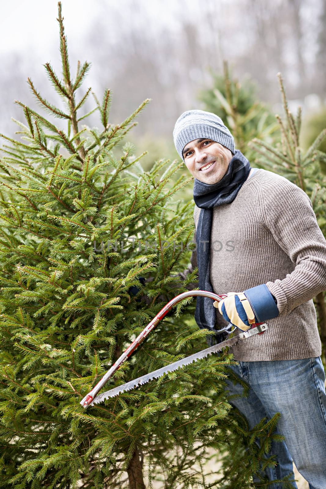 Man cutting Christmas tree by elenathewise