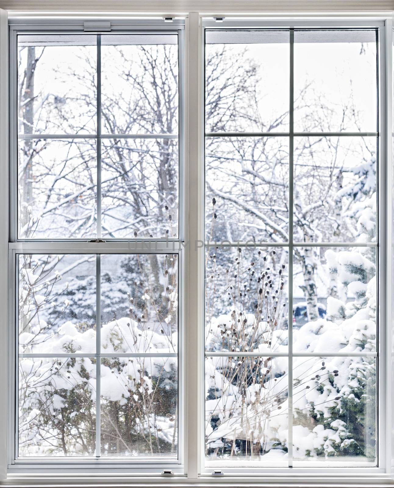 Home vinyl insulated windows with winter view of snowy trees and plants