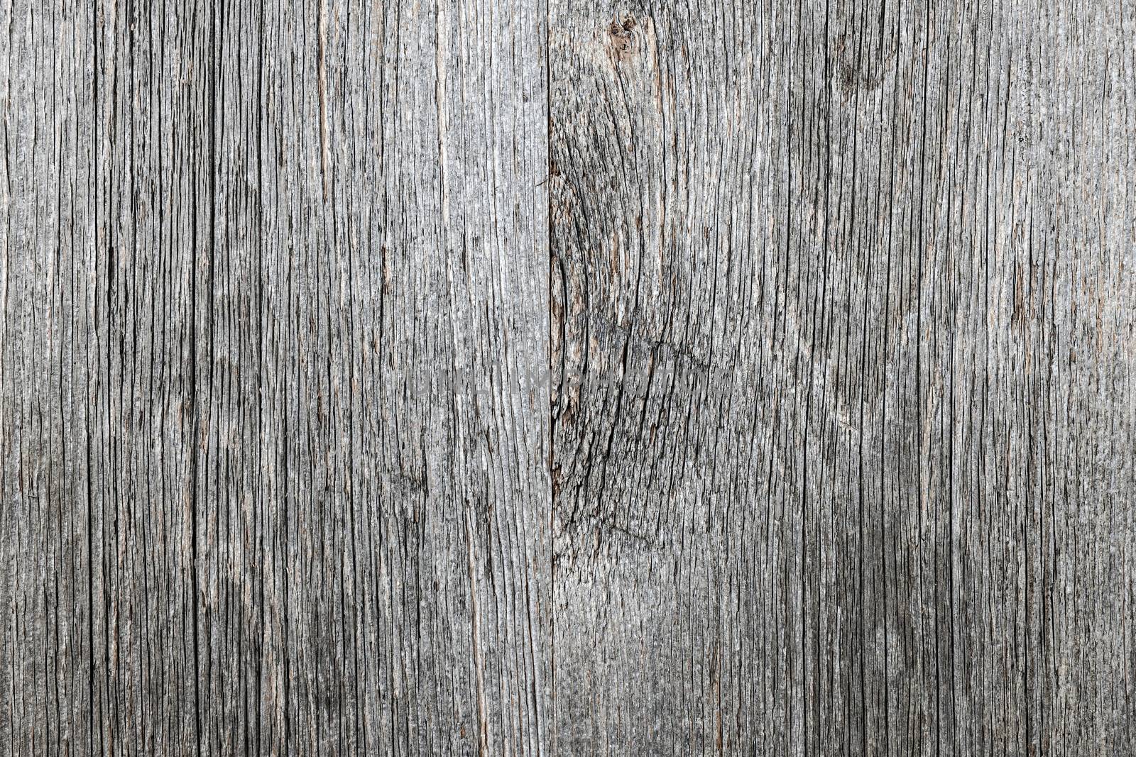 Old barn wood background by elenathewise