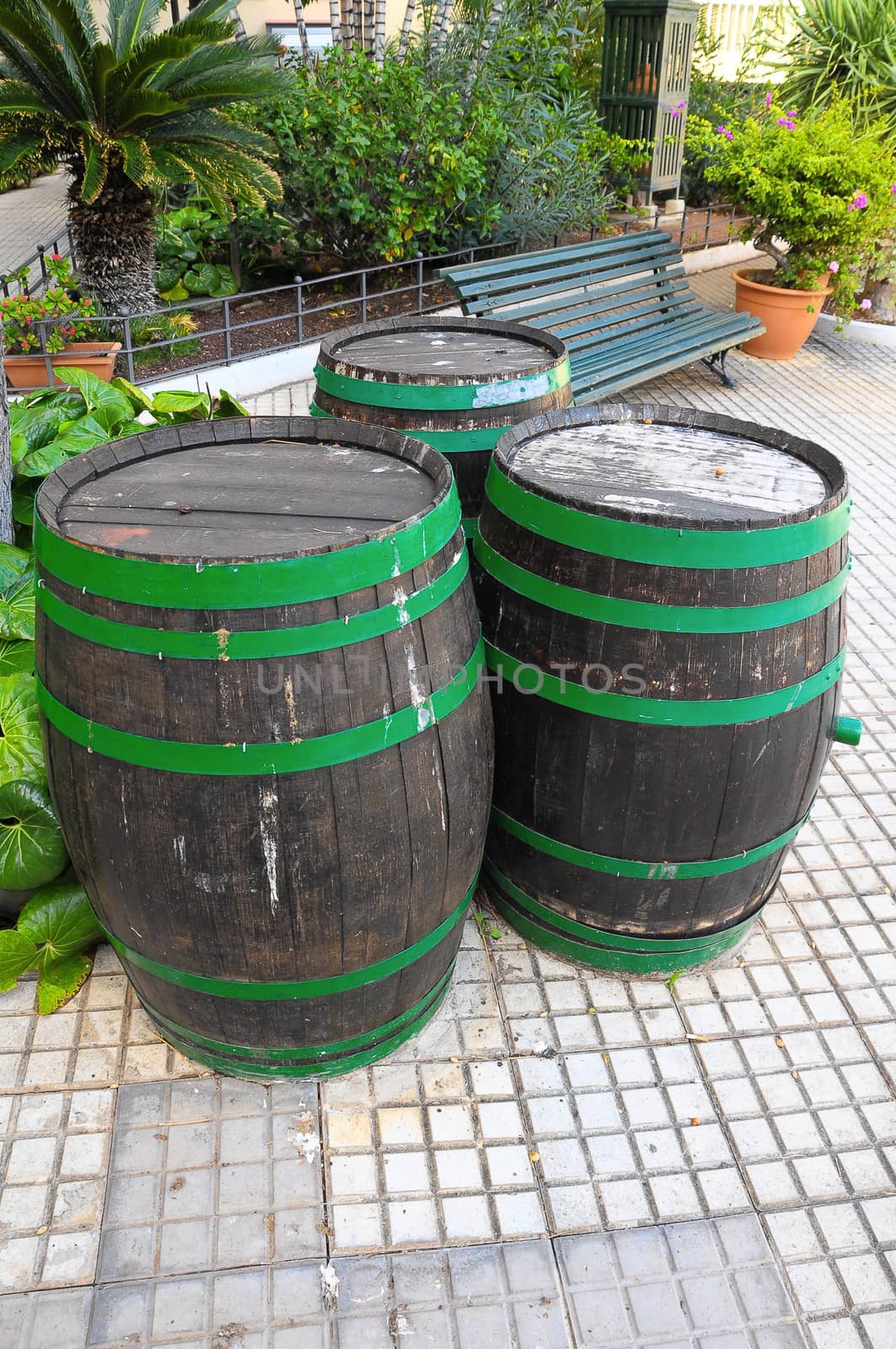 Old Barrels for Wine on a Private Garden