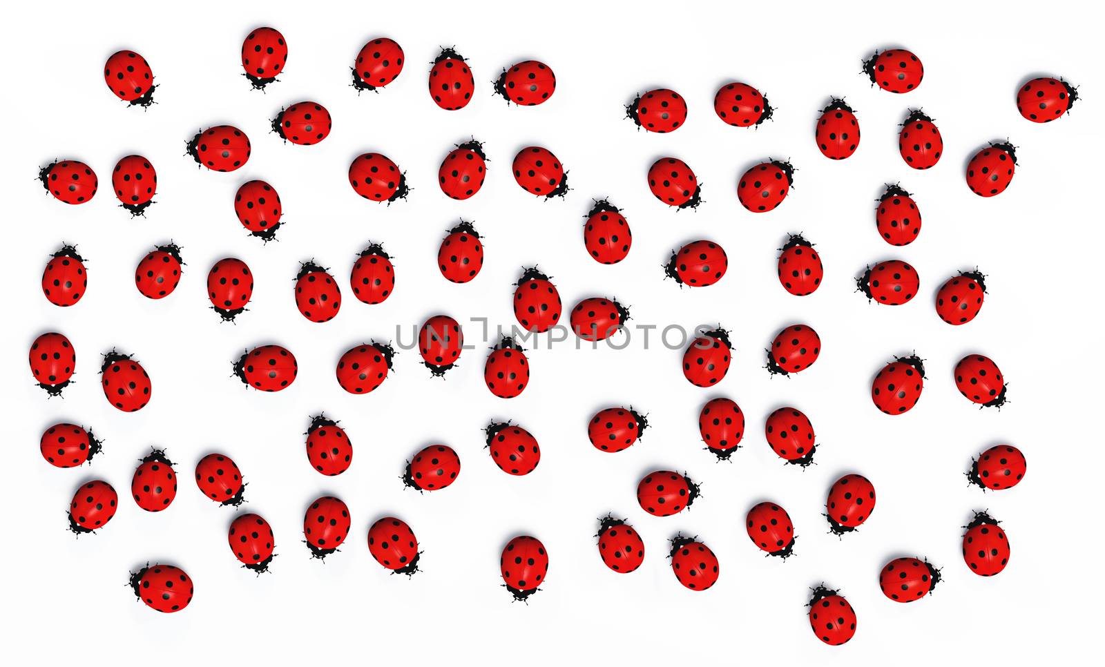 top view of a group of many red ladybugs placed in random order on a white ground